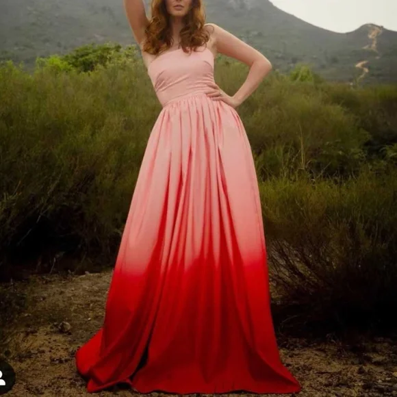NWT SAU LEE Revolve Teigen Gown Maxi Dress Blush Red Ombre Event Party Cocktail - Picture 12 of 15